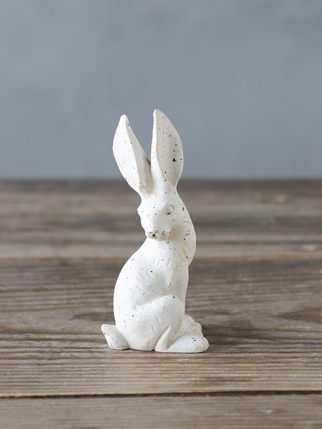 ラビットHホワイト サラグレース