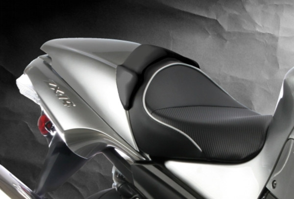 Kawasaki ZX14 Ninja / ZZR1400 MSS Regular Silver Welt | Sargent