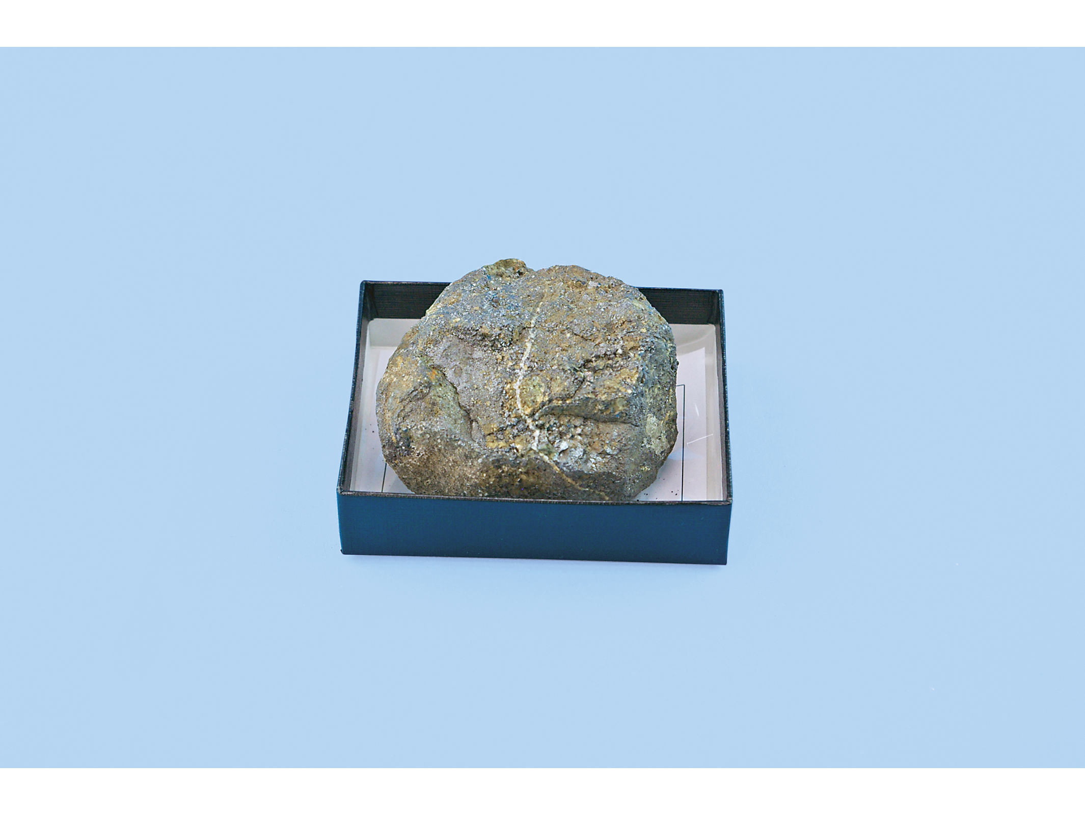 標本用鉱物 磁鉄鉱