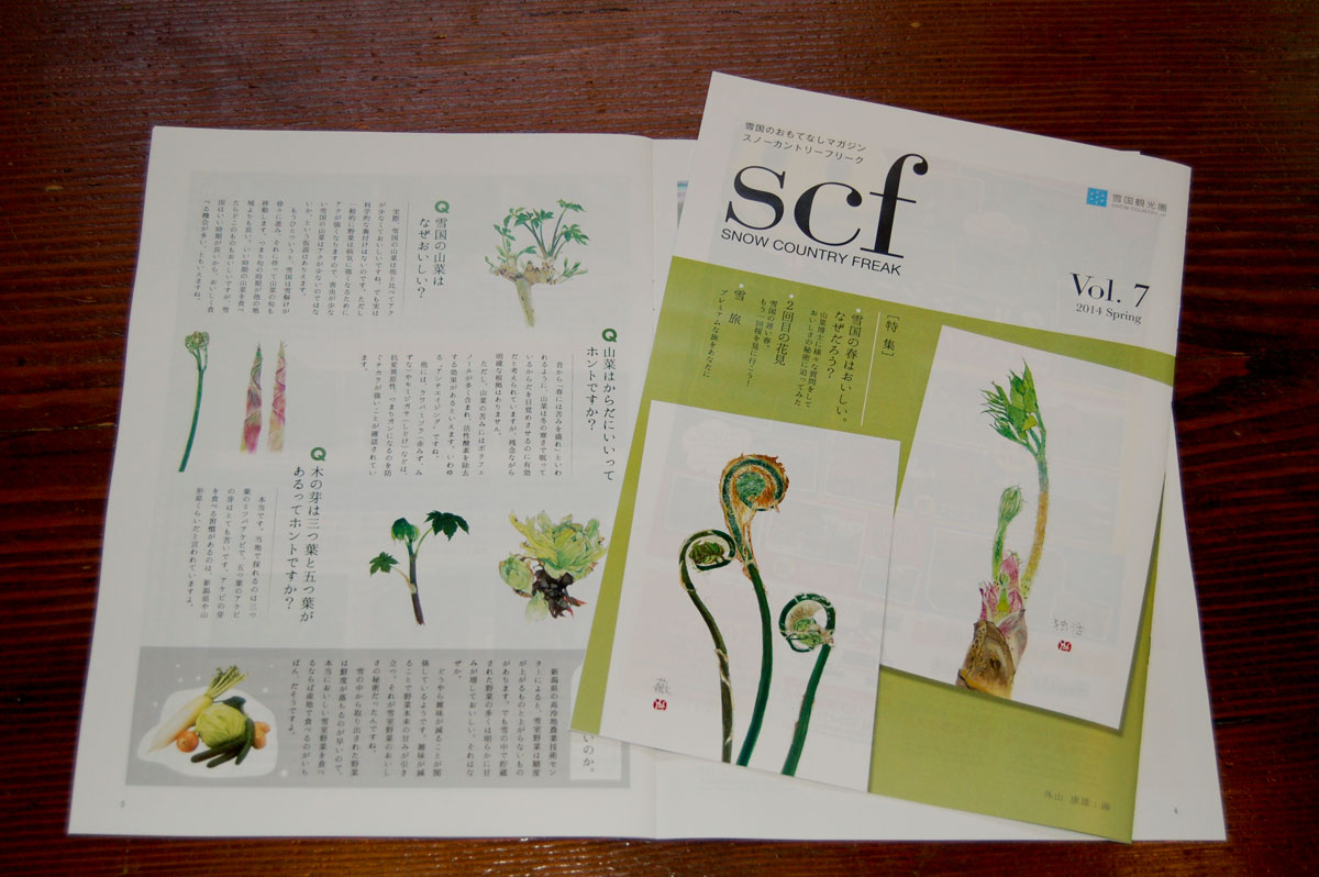 四季の山野草を描く水彩画ギャラリー「外山康雄 野の花館」 – 雪と旅