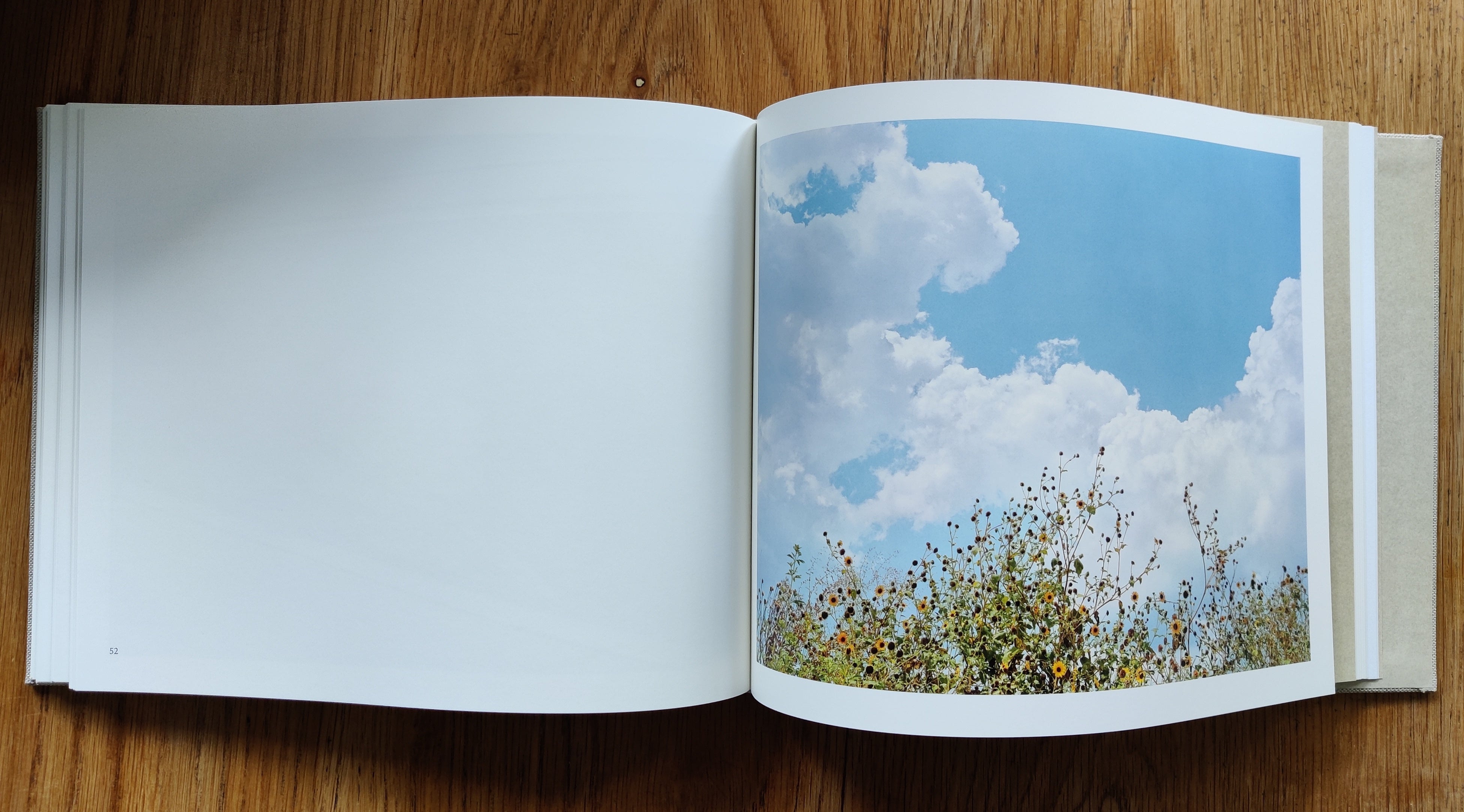 Buy A Pound of Pictures - Special Edition by Alec Soth Online