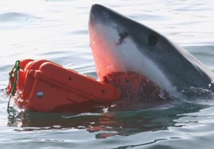 エクスプローラーケース（軍用ハードケース） IEXシリーズ特設ページ