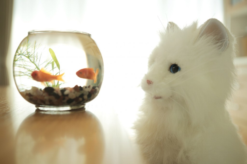 夢ねこプレミアム｜セガ フェイブ トイ製品情報公式