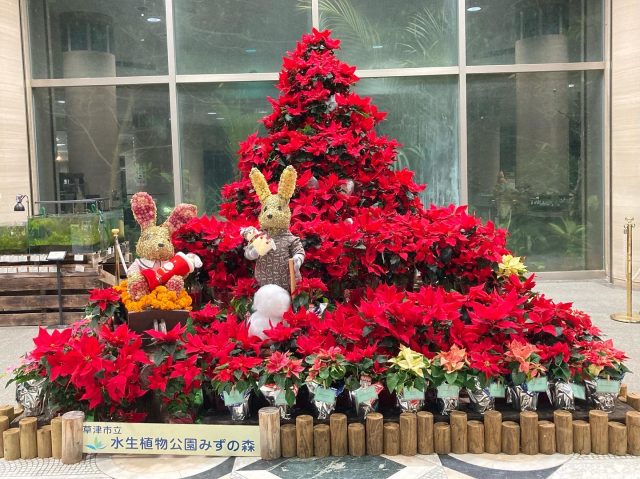 公園だより｜草津市立 水生植物公園みずの森