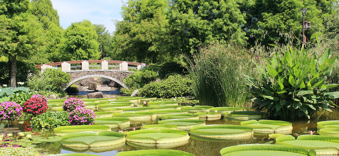 草津市立 水生植物公園みずの森