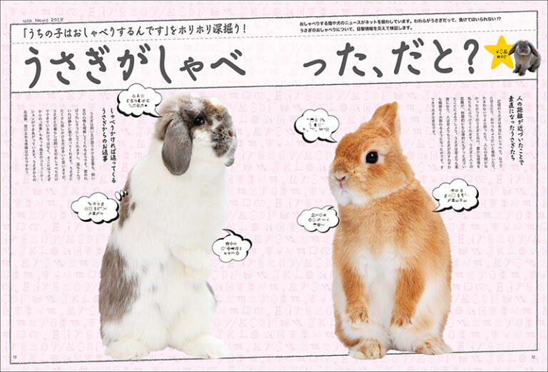 うさぎの時間 no.22 | 株式会社誠文堂新光社