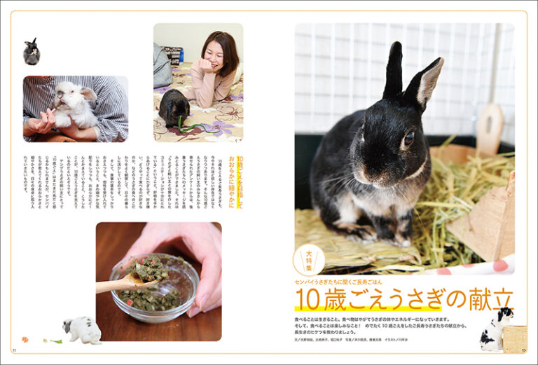 うさぎの時間 no.23 | 株式会社誠文堂新光社