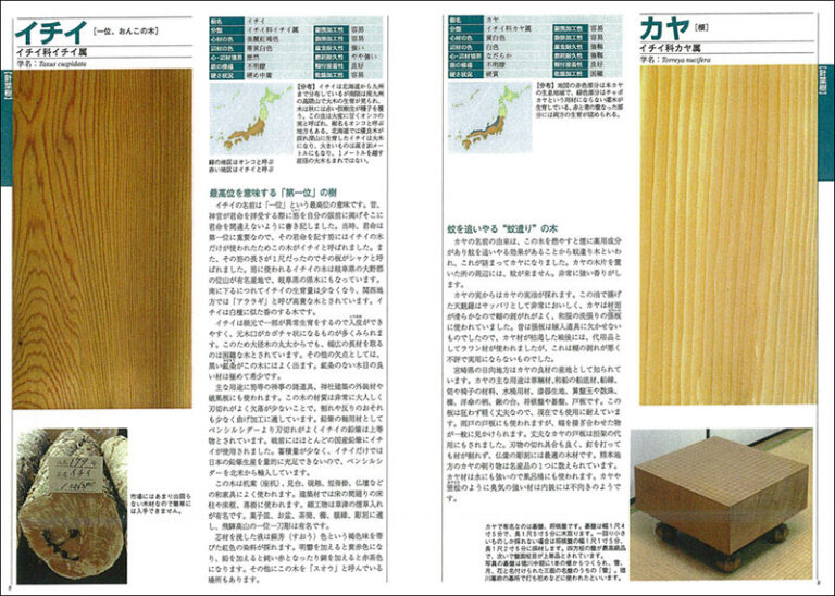 増補改訂 原色 木材大事典185種 | 株式会社誠文堂新光社