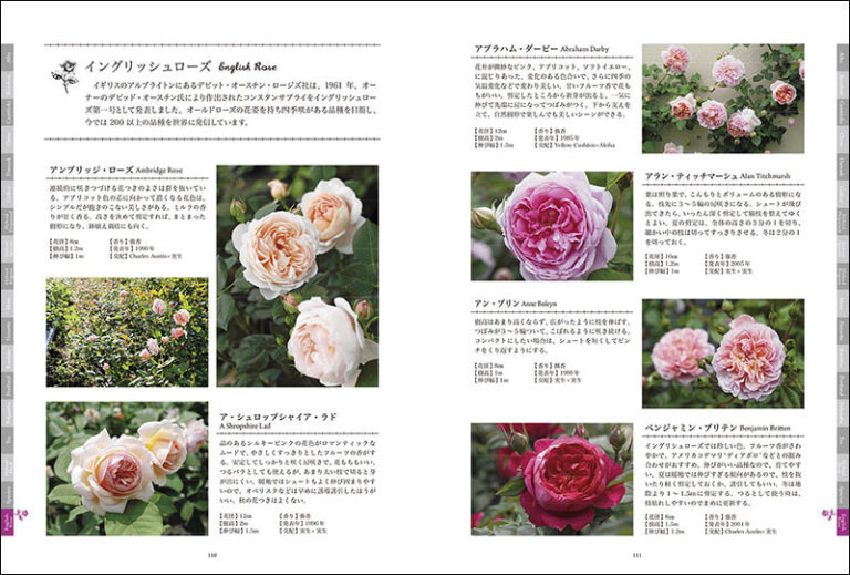 オールドローズ&イングリッシュローズ | 株式会社誠文堂新光社