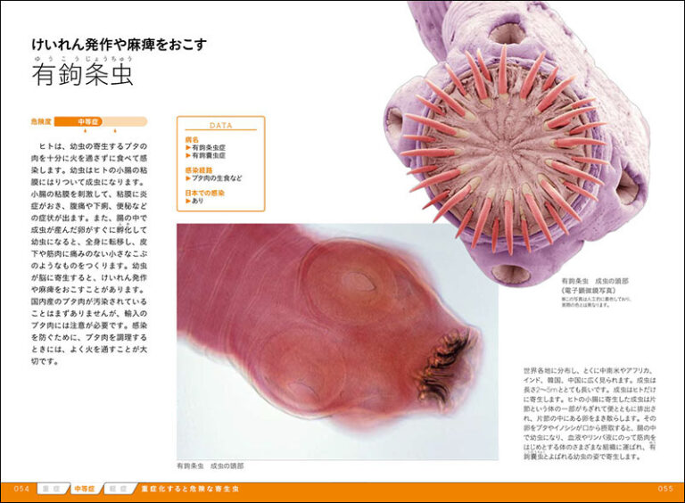 寄生虫ビジュアル図鑑 | 株式会社誠文堂新光社