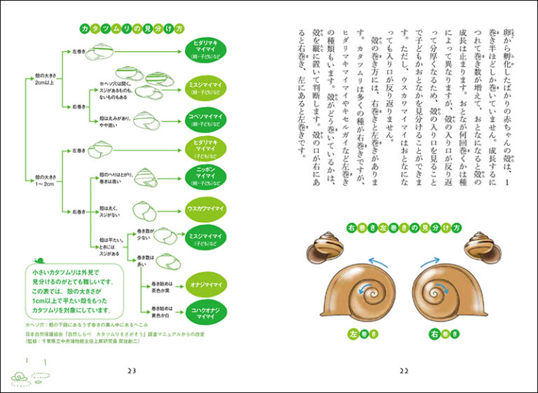 カタツムリの謎 | 株式会社誠文堂新光社
