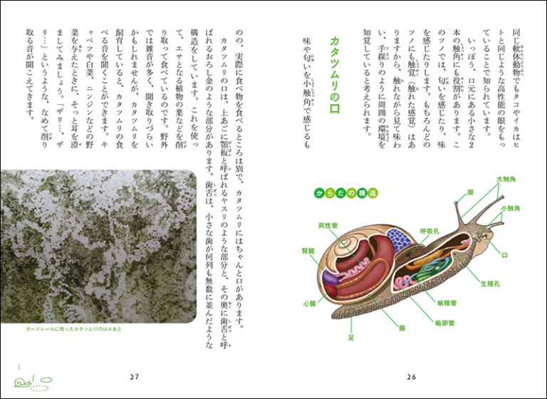 カタツムリの謎 | 株式会社誠文堂新光社