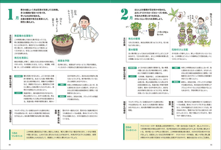 新版 クリスマスローズ | 株式会社誠文堂新光社