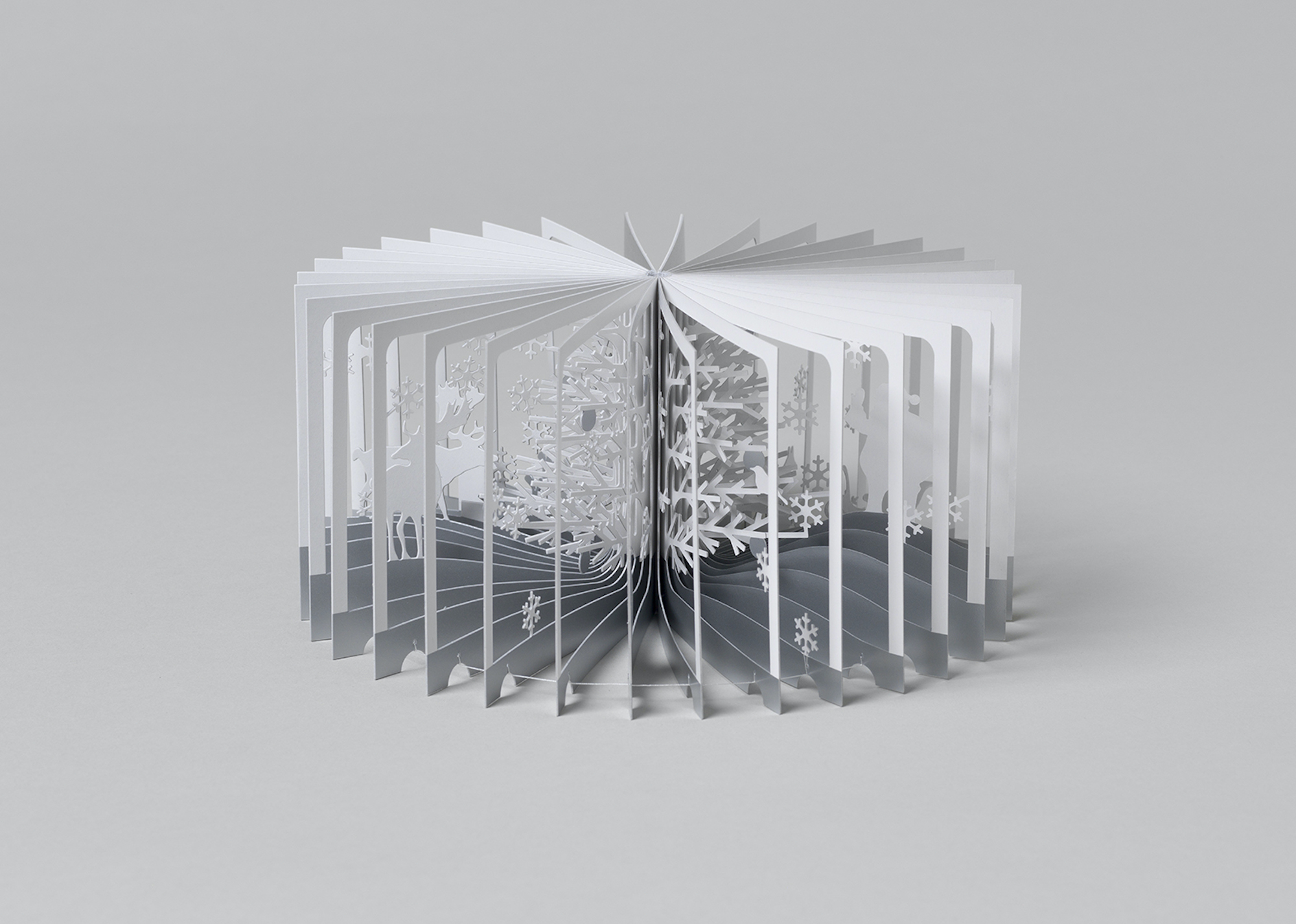 360°BOOK 雪降る森｜青幻舎 SEIGENSHA Art Publishing, Inc.