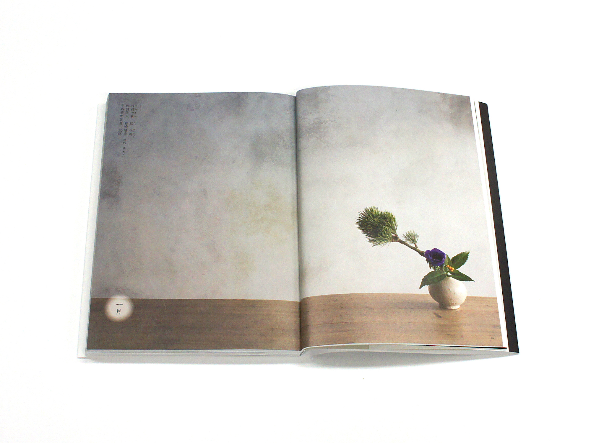 京都日常花 Vol.2 市井のいけばな十二ヶ月｜青幻舎 SEIGENSHA Art