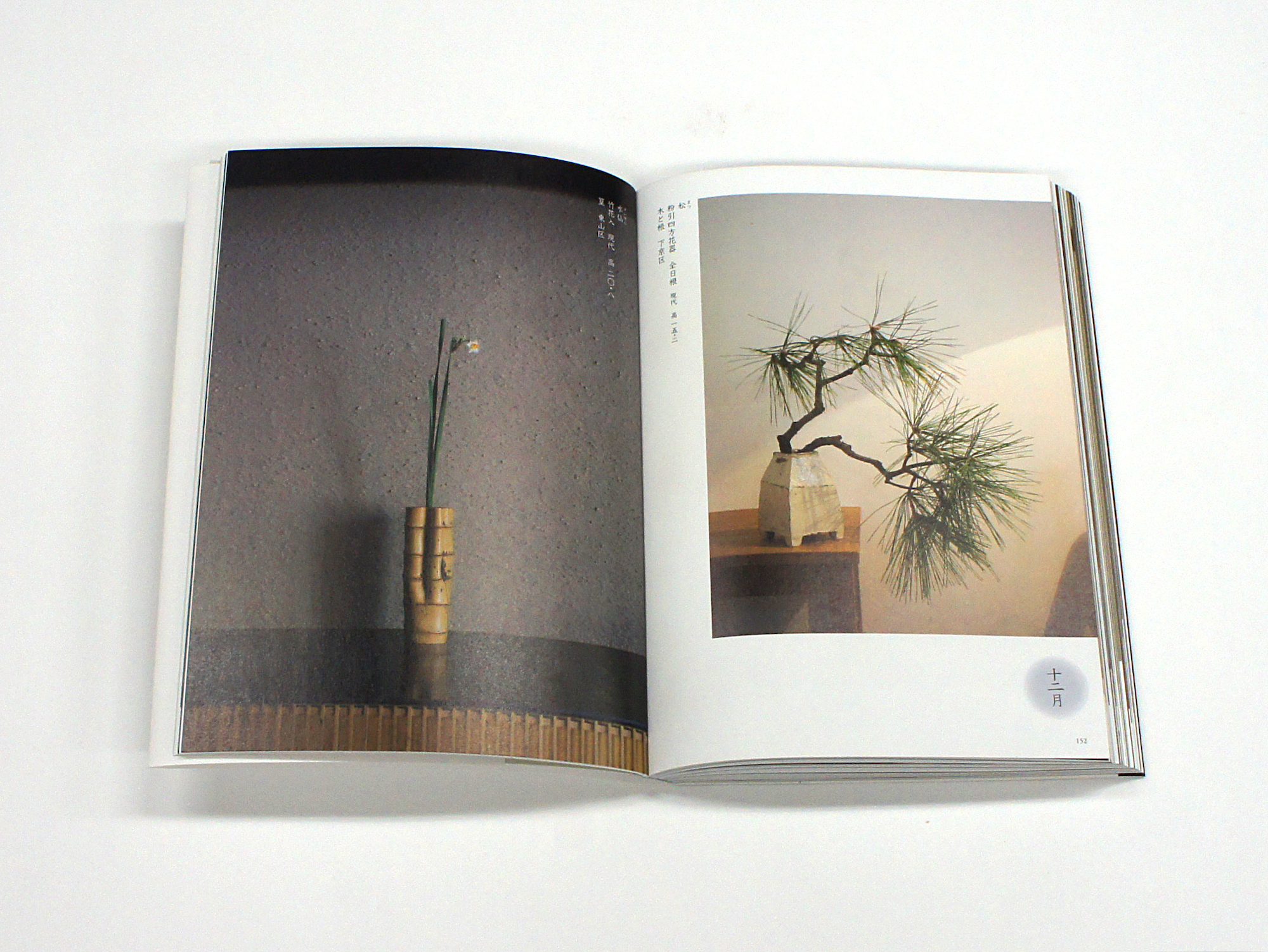 京都日常花 Vol.2 市井のいけばな十二ヶ月｜青幻舎 SEIGENSHA Art