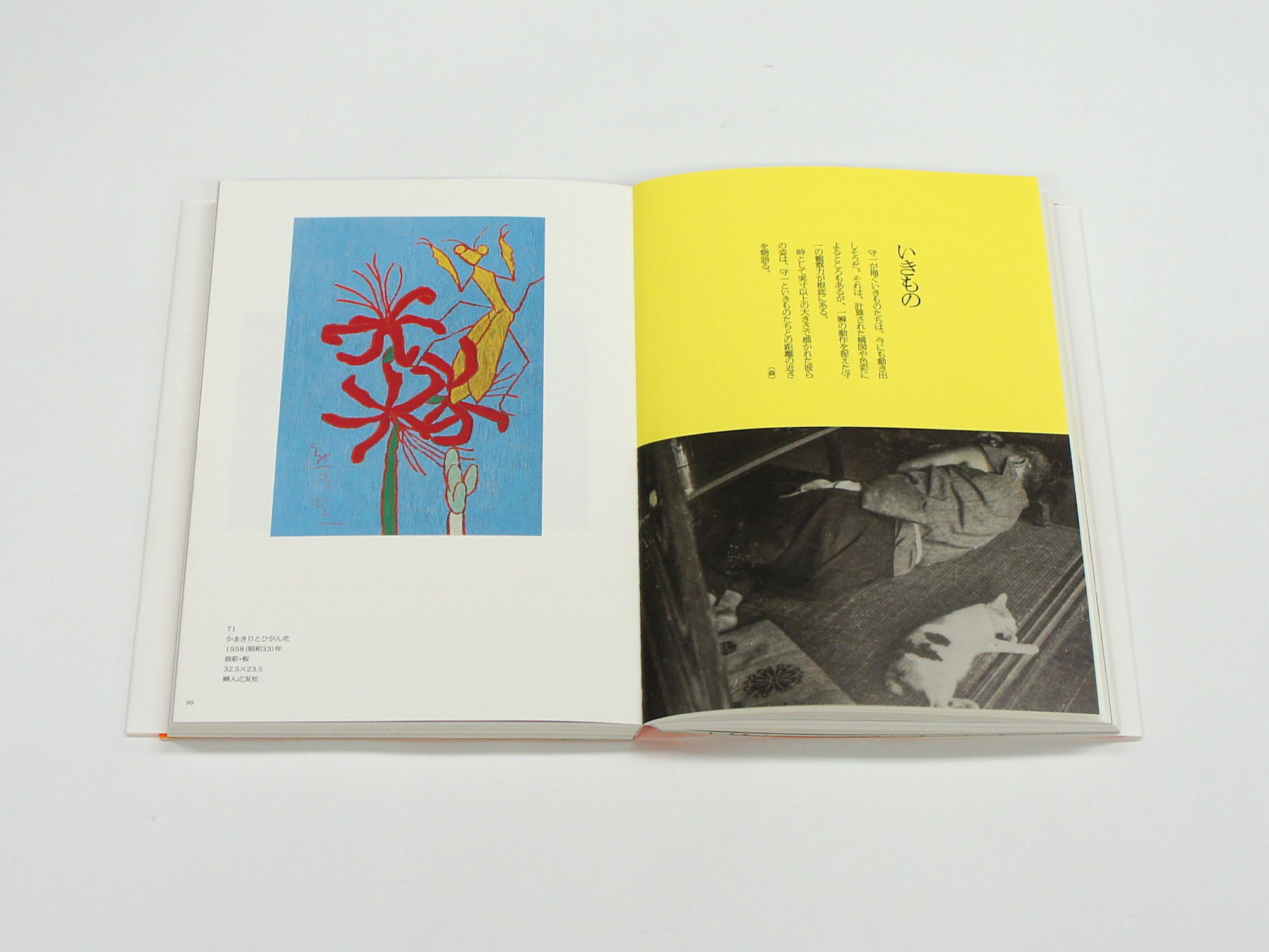 熊谷守一 いのちを見つめて｜青幻舎 SEIGENSHA Art Publishing, Inc.