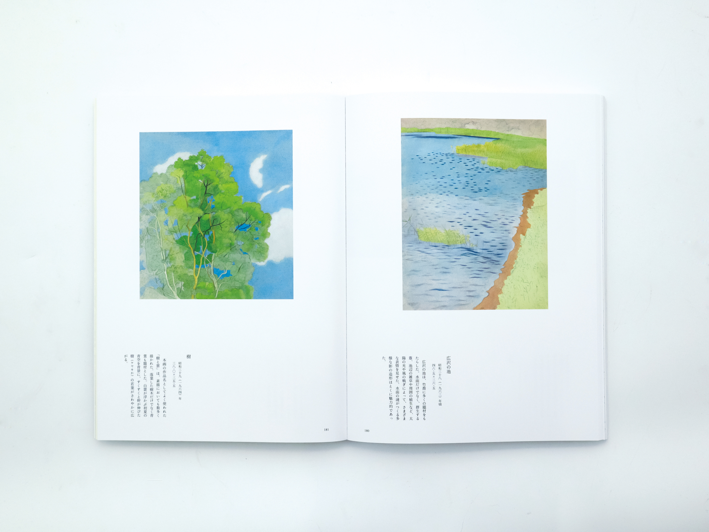 笠岡市立竹喬美術館名品集 うつりゆく自然を描く 小野竹喬の世界｜青幻