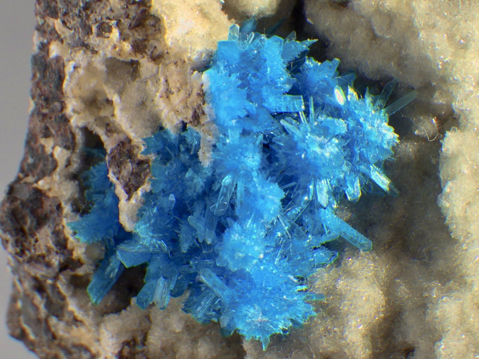 母岩付ペンタゴナイト／カバンサイト - セルフクリエイション