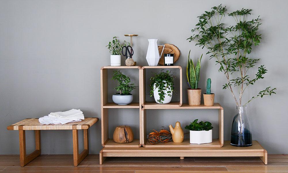 センプレ別注色】収納ボックスW350 / ウォルナット日進木工（にっしん