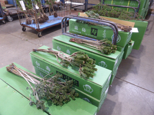 松市」R7.12.3(水)