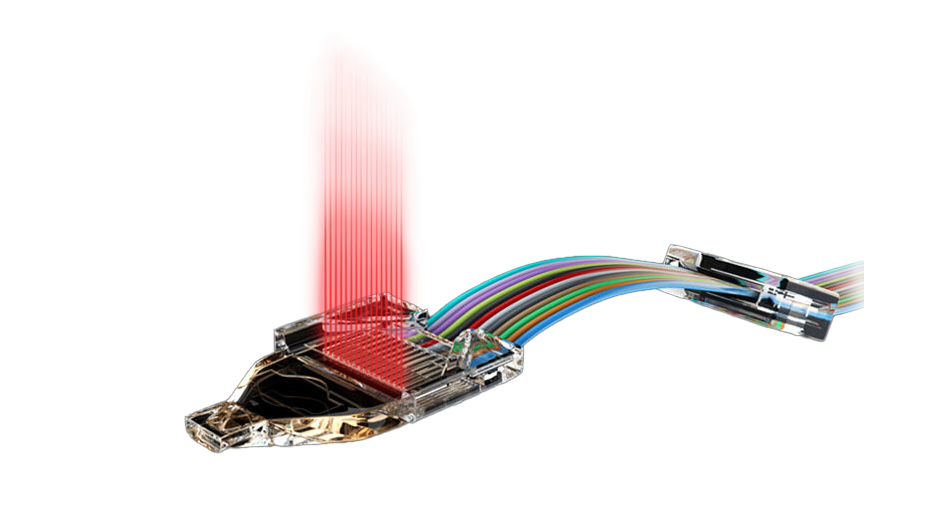 MPO EBO EZ-WAY Connector » SENKO Advanced Components, Inc.