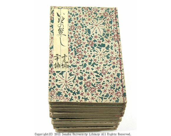 雪梅芳譚犬の草紙｜専修大学