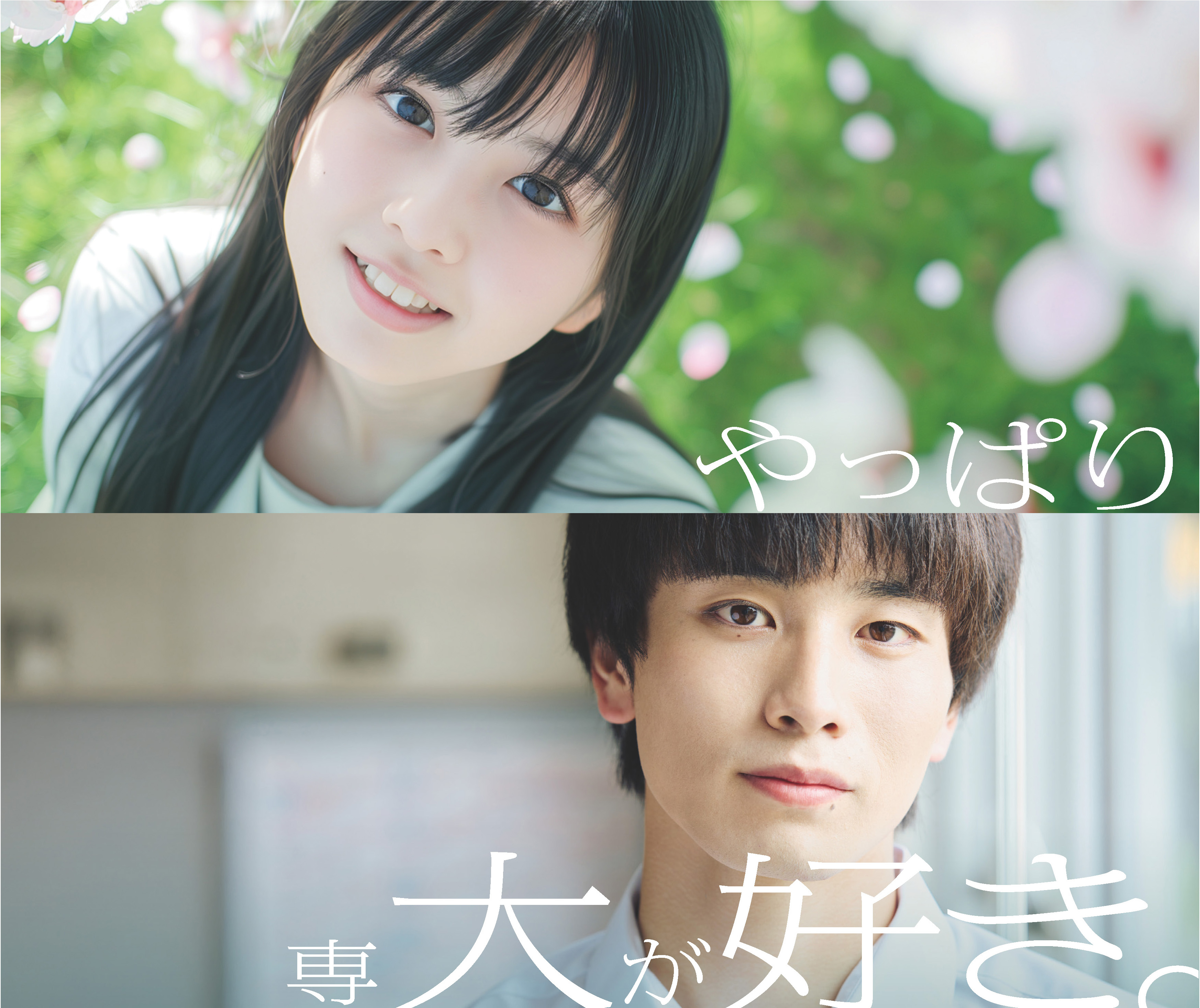 入試直前対策講座｜専修大学