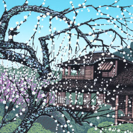 青系 アーカイブ - 版画家 小暮真望