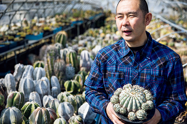今、熱い植物「黒王丸（コピアポア・シネレア）」｜みんなの趣味の園芸