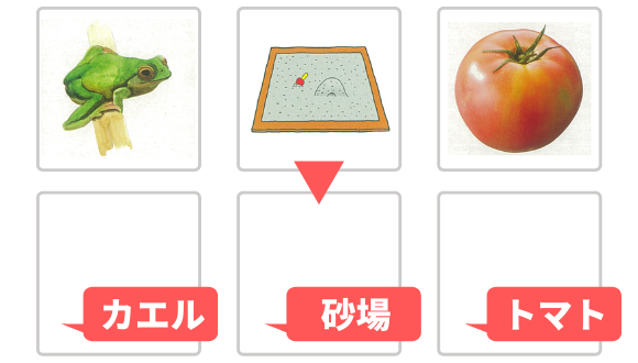 メモリーチップ②【知育玩具】 | 七田式公式通販