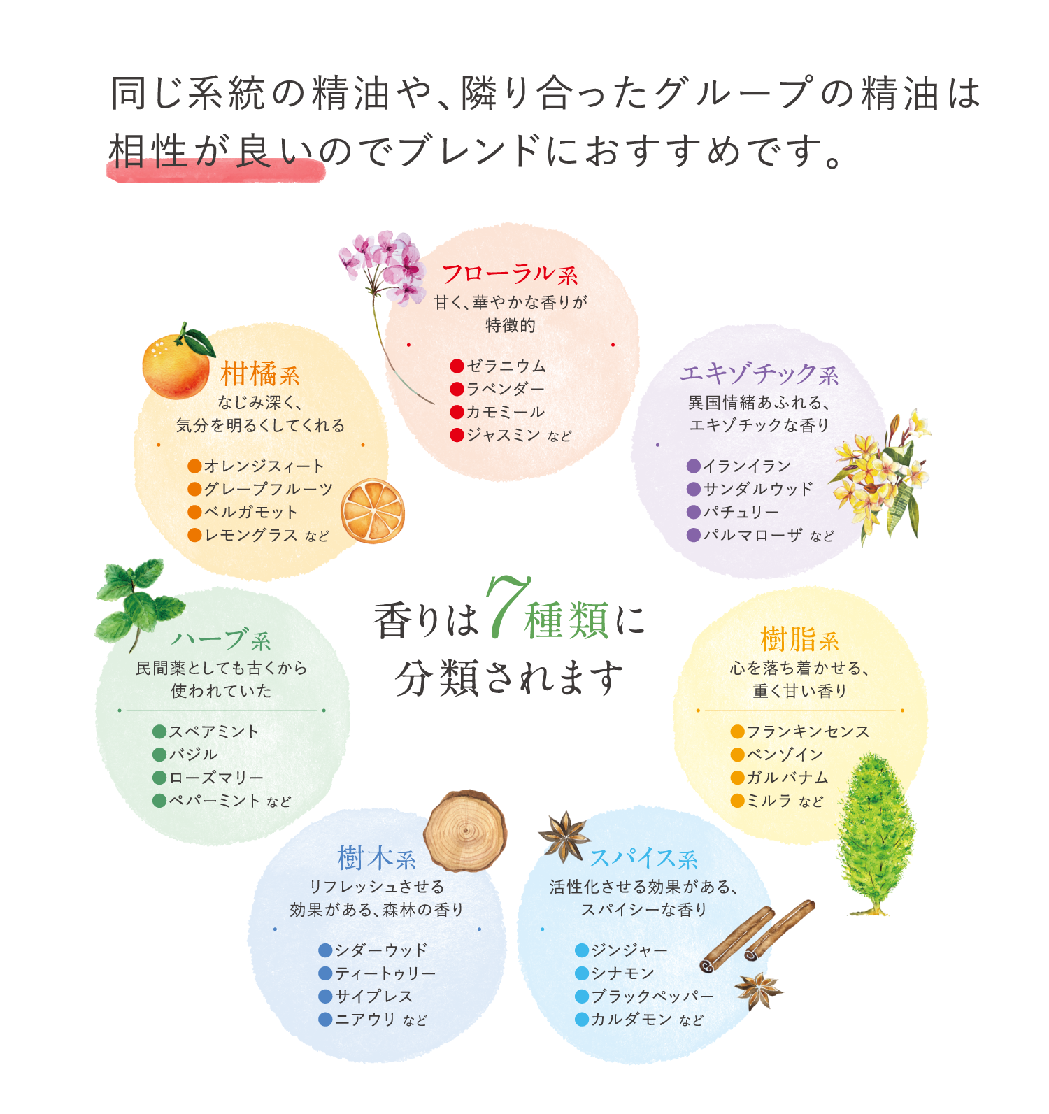 Pureエッセンシャルオイル No.26 パインスコッチ【食学・くらし