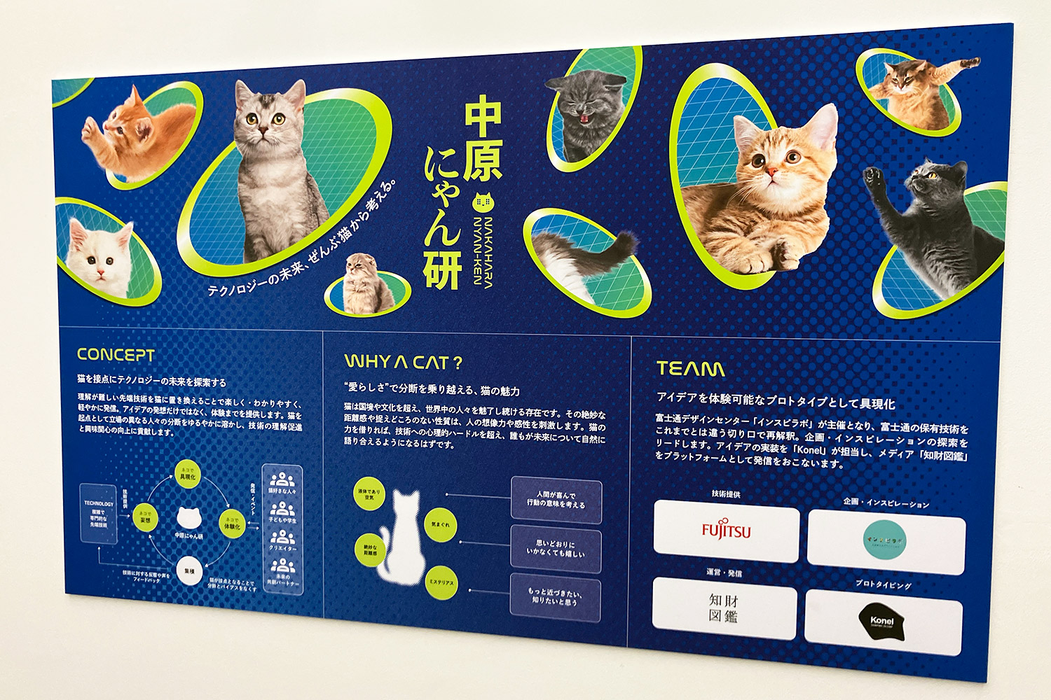 猫の可能性は無限大！近未来テクノロジーが現実に、中原にゃん研