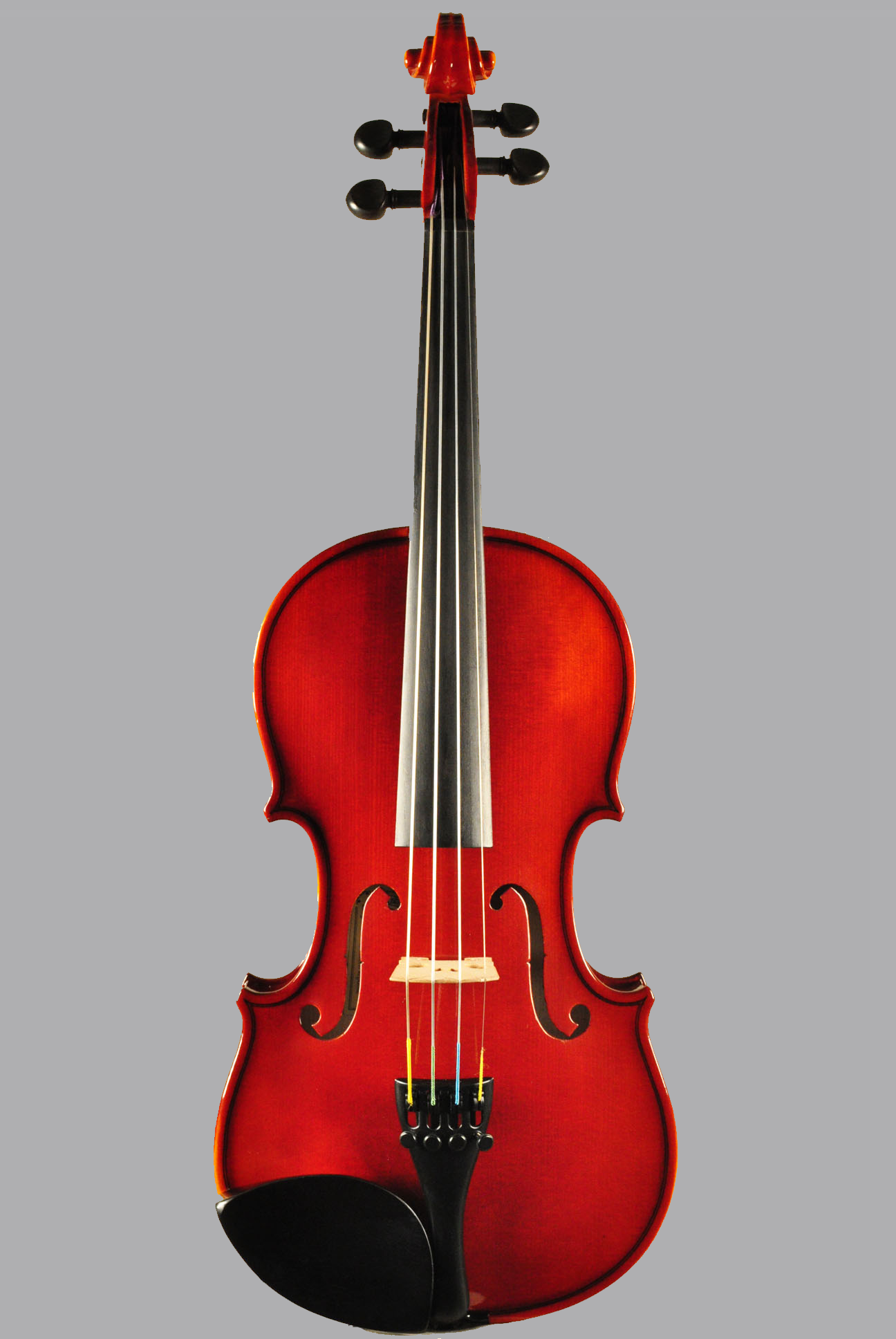 1/2 J. J. DVORAK #1930 | 下倉バイオリン 弦楽器専門店