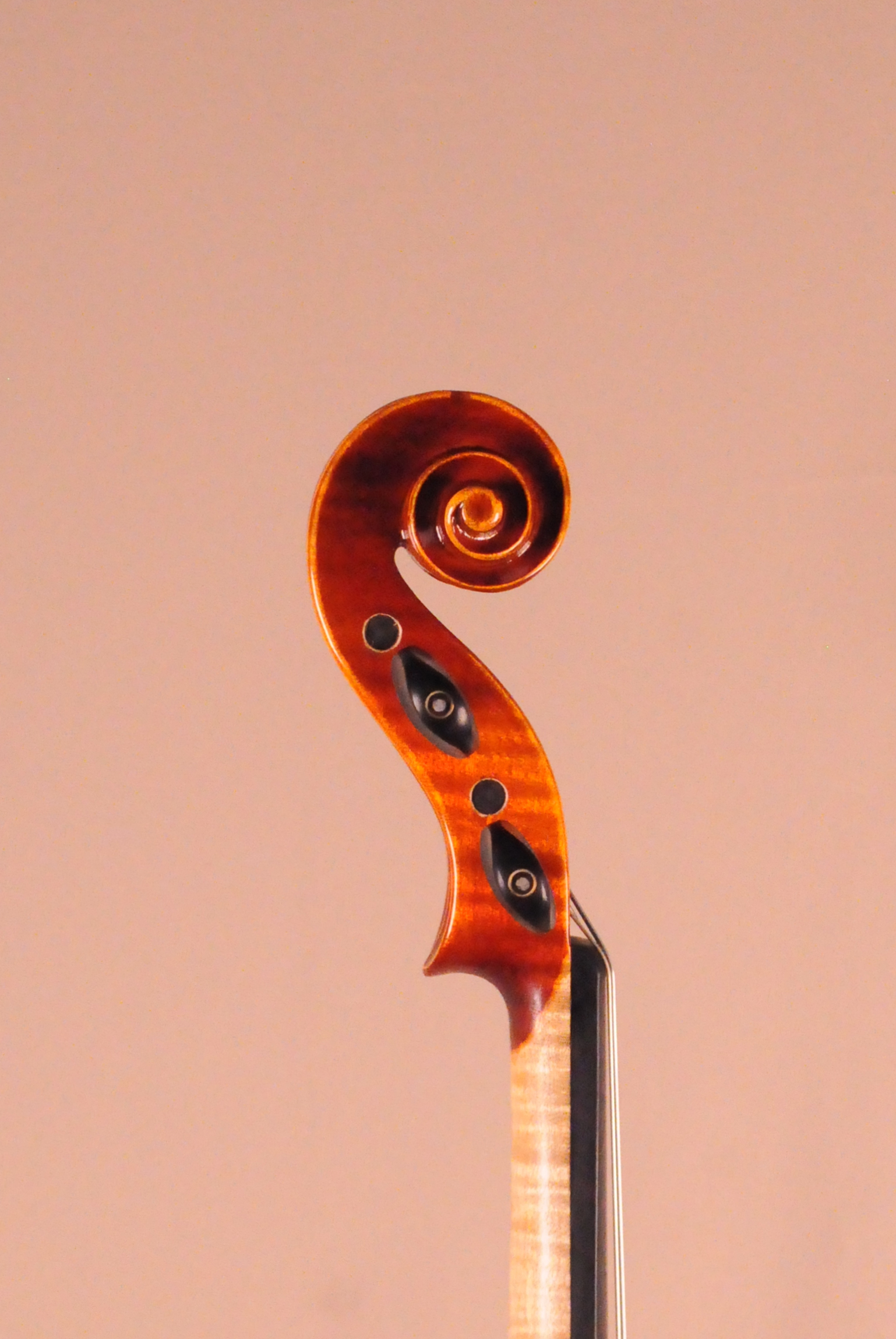 ARS MUSIC #028 | 下倉バイオリン 弦楽器専門店