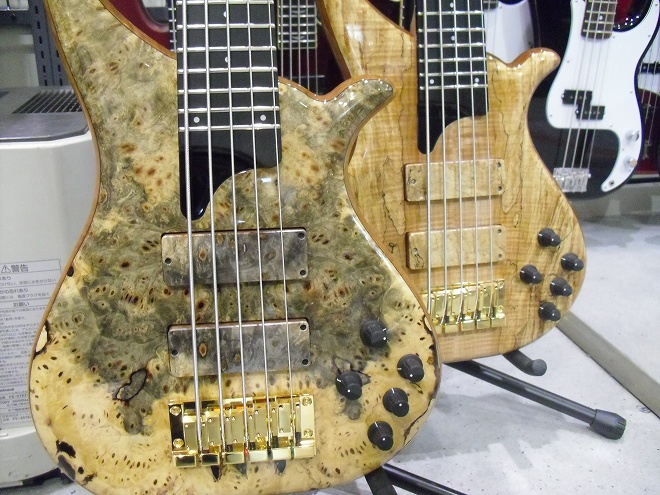 エレキベース”Phoenix(TUNE)/TWB5-Exotic～本日はなんだっぺ!?～｜島村