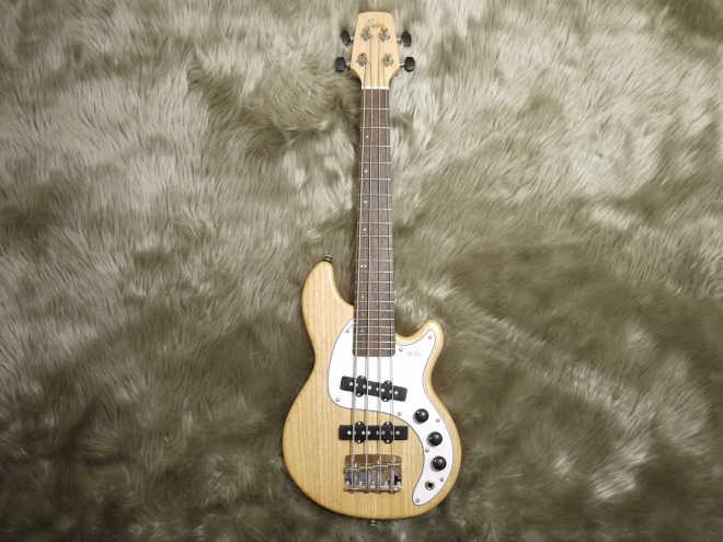 入荷情報】プロも愛用！アッシュボディのSeilenモバイルミニベース