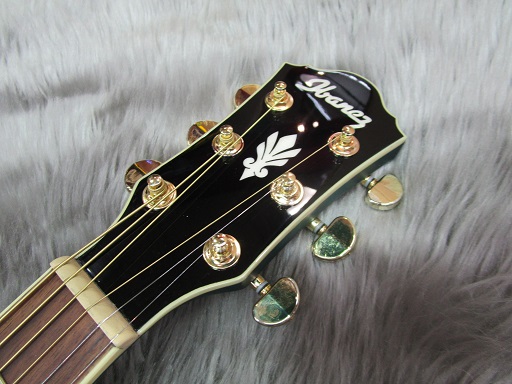 エレアコ】アイバニーズ AEGシリーズ入荷しました｜島村楽器 イオン