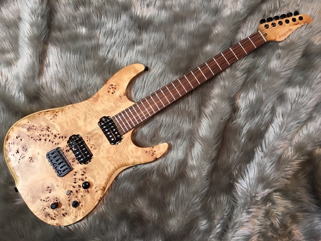 先行入荷！】話題の新製品！dragonfly/sottile(ソティーレ)入荷しま