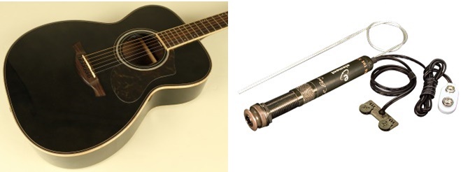 Martin with FISHMAN & HISTORY with L.R.Baggs ピックアップ弾き比べ