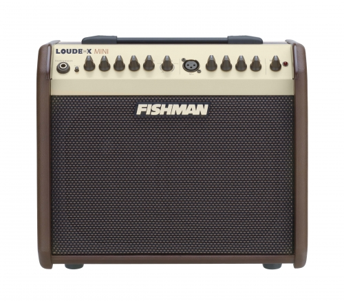 アコースティックギター】Martin Dreadnought Junior 待望の再入荷