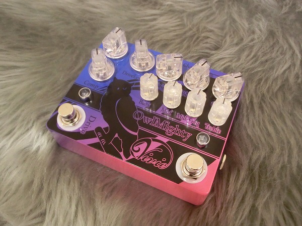 VivieベースプリアンプOwlMighty大量入荷。皆さん今がチャンスです
