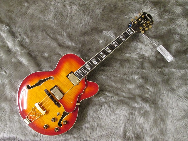 エレキギター】フルアコ・セミアコフェア開催中！｜島村楽器 イオン