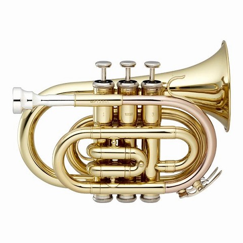 管楽器】 どこでも一緒！ミネルバポケットトランペットのご紹介