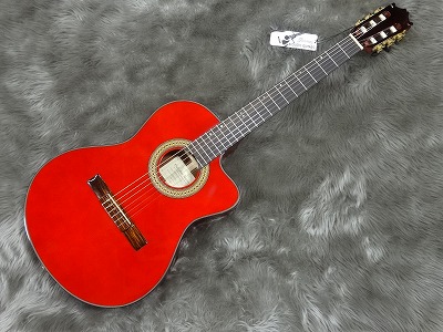 Autmn Music Fair】 Ibanezアコースティックギター入荷！｜島村楽器