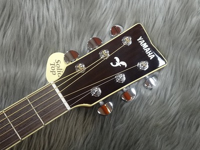 夏本番！仙台楽器サマーウィーク】担当者おすすめアコースティック