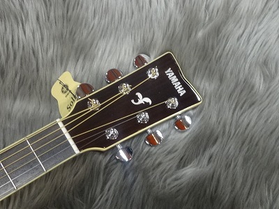 夏本番！仙台楽器サマーウィーク】担当者おすすめアコースティック