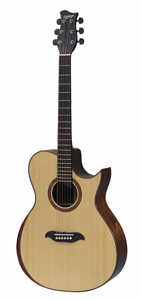 音量と演奏性を兼ね備えたアコースティックギター 島村楽器 × Y