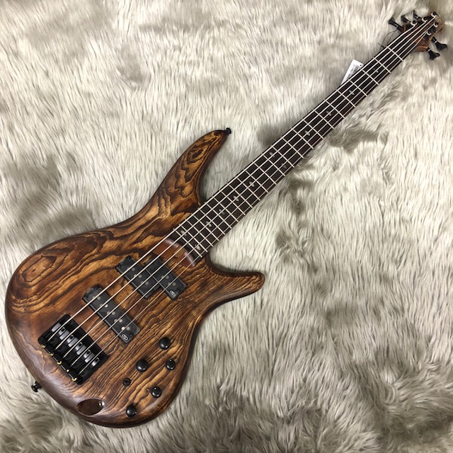 エレキベース新入荷情報！｜島村楽器 イオンモール秋田店