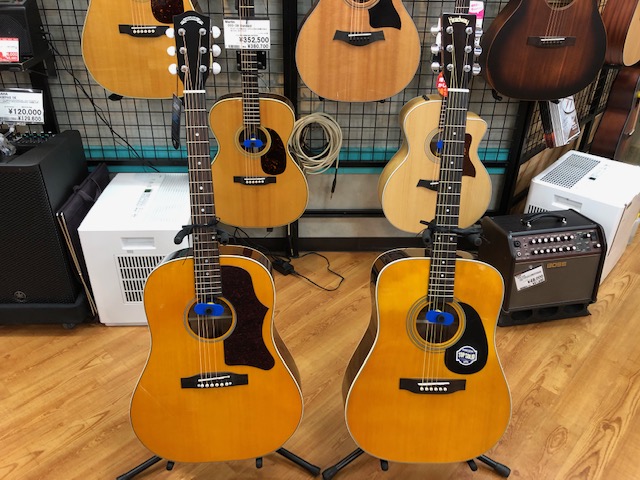 アコースティックギター】Headway/HD-45SとHJ-BUDDYが入荷しました